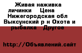 Живая наживка (личинки) › Цена ­ 150 - Нижегородская обл., Выксунский р-н Охота и рыбалка » Другое   